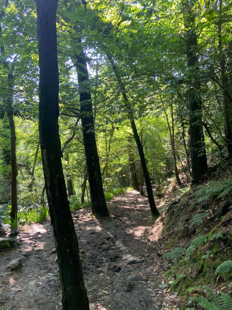 Hike Ulia | San Sebastian: The Way - Key Points