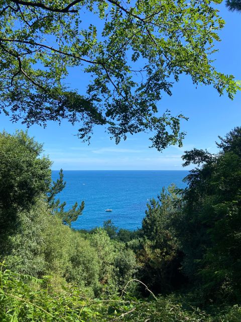 Hike Ulia | San Sebastian: The Way - Booking and Cancellation