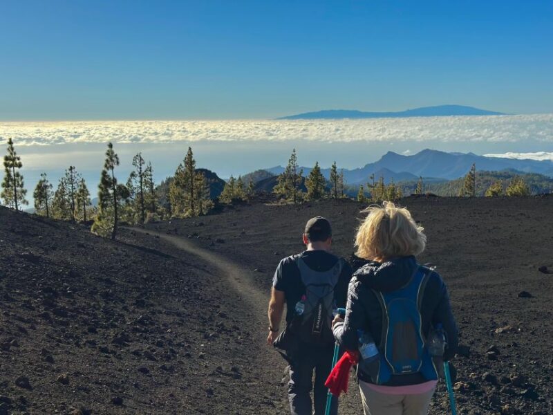 Hike Under Stars and Skywatching With Astronomer at Teide - Landscape and Scenery