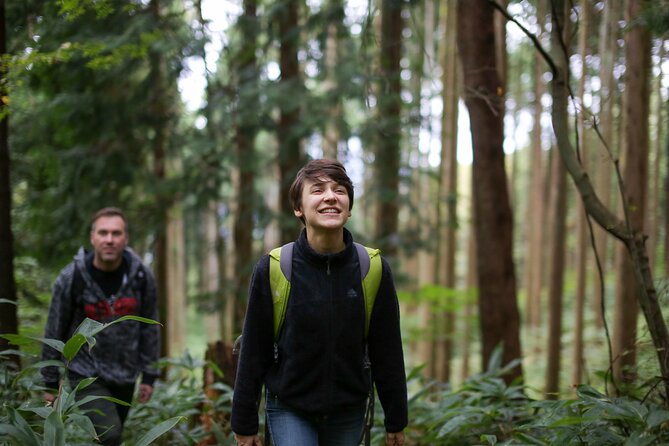Hike up Mt. Omine and Enjoy the View of Miyajima - Starting Time