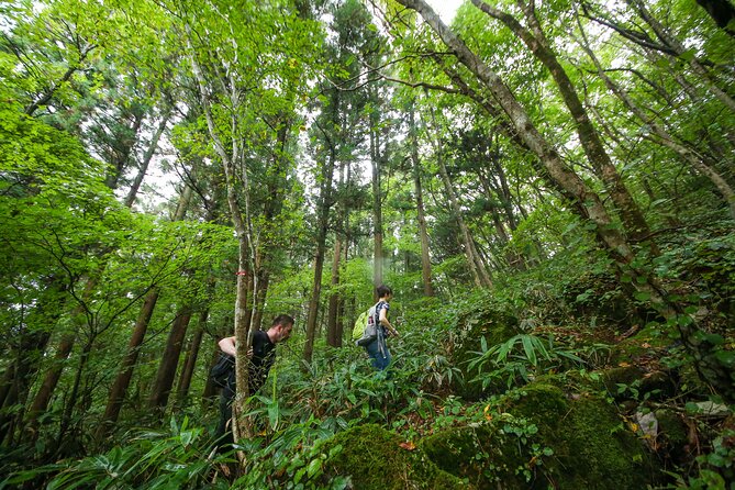 Hike up Mt. Omine and Enjoy the View of Miyajima - Transportation Limitations