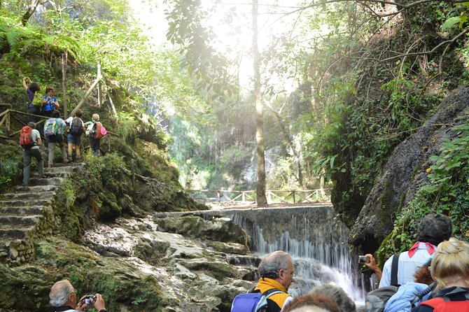 Hike Valle Delle Ferriere With Lunch at Agriturismo Foreporta - Inclusions and Logistics