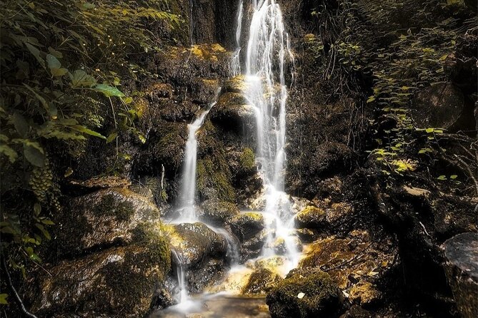 Hike Valle Delle Ferriere With Lunch at Agriturismo Foreporta - Location and Rating