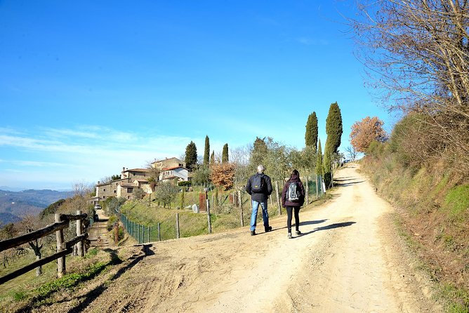 Hike & Wine Tour - Sample Tuscan Light Lunch