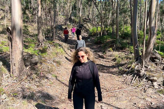 Hike With Meditation at the Top Of The Mountain - Schedule and Timing