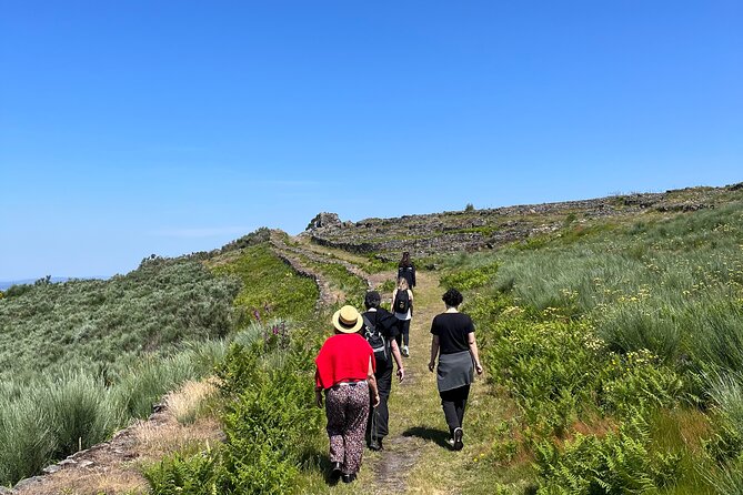 Hike With Meditation at the Top Of The Mountain - Meeting and Pickup Details