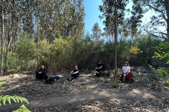 Hike With Meditation at the Top Of The Mountain - Parking