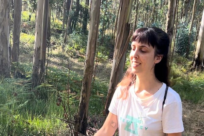 Hike With Meditation at the Top Of The Mountain - Operator Information
