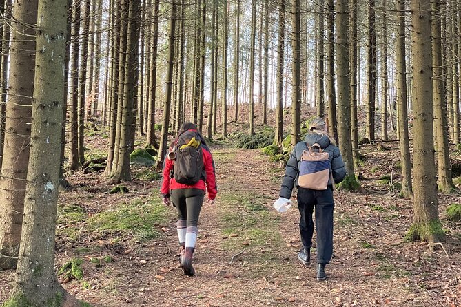 Hike With Wild Forage Surviving Tips and Local Lunch at the Lake - About Your Stay