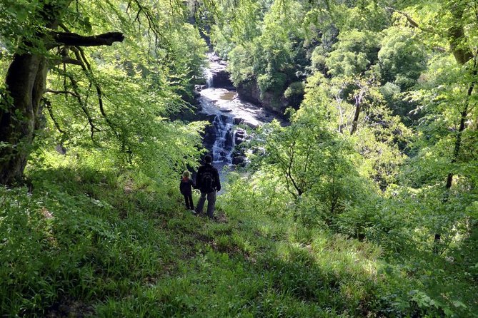 Hike World Heritage Reserve Waterfalls - Birdwatching and Wildlife Spotting