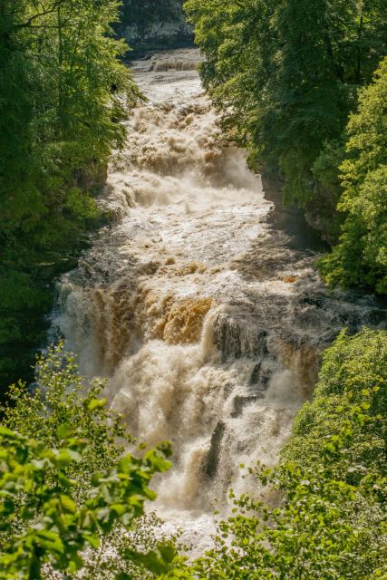 Hike World Heritage Reserve Waterfalls - Key Points