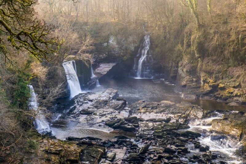 Hike World Heritage Reserve Waterfalls - Itinerary and Highlights