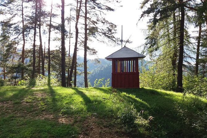 Hike&City Private Tour- Cultural Tour of Brasov Follow by Hiking Tampa Mountain - Ascending Tampa Mountain