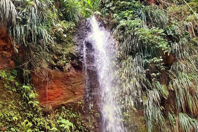 Hiker's Delight - Booking Your Stay