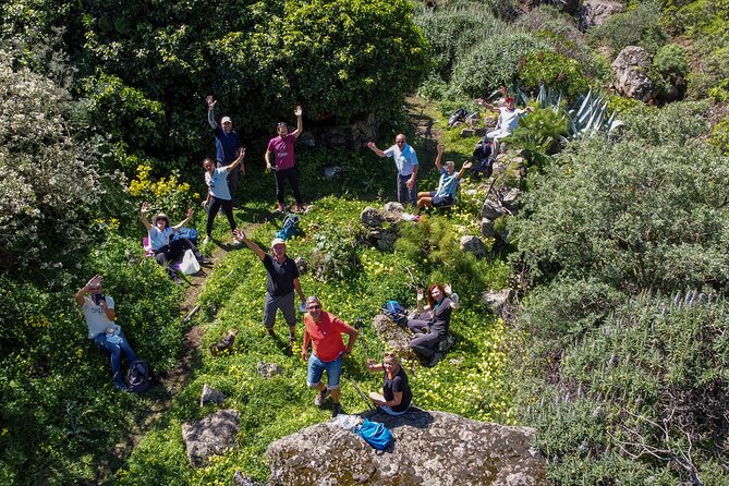 Hikes in the Green Gran Canaria - Key Points