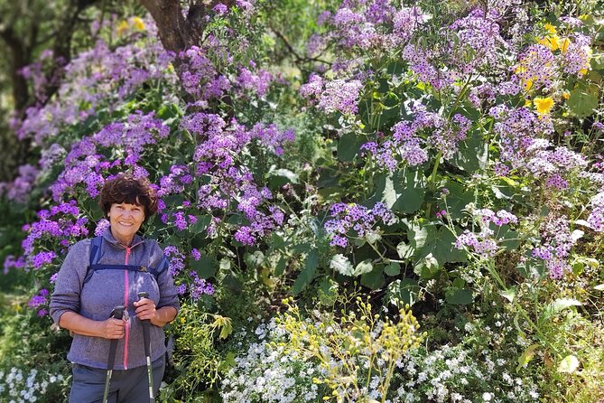 Hikes in the Green Gran Canaria - Pickup and Start Time