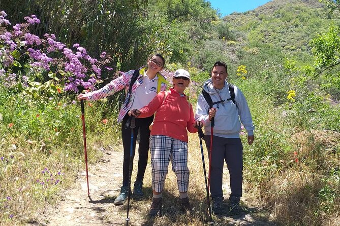 Hikes in the Green Gran Canaria - Ratings and Reviews