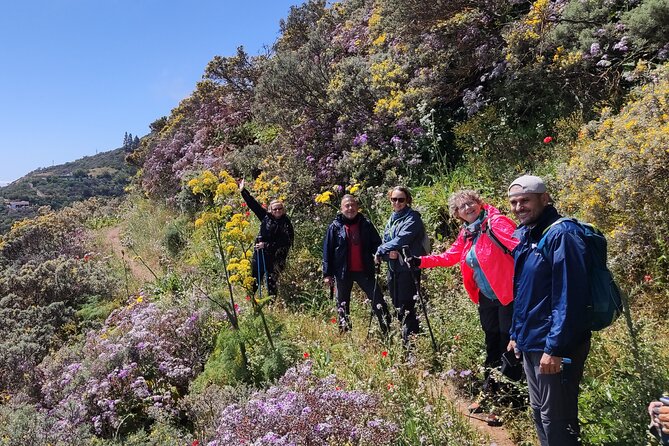 Hikes in the Green Gran Canaria - Booking and Cancellation