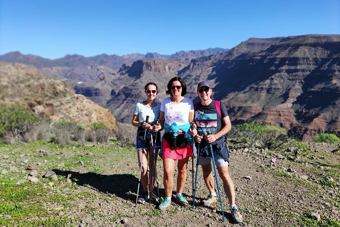 Hikes in the Green Gran Canaria - Exploring Gran Canarias Landscapes