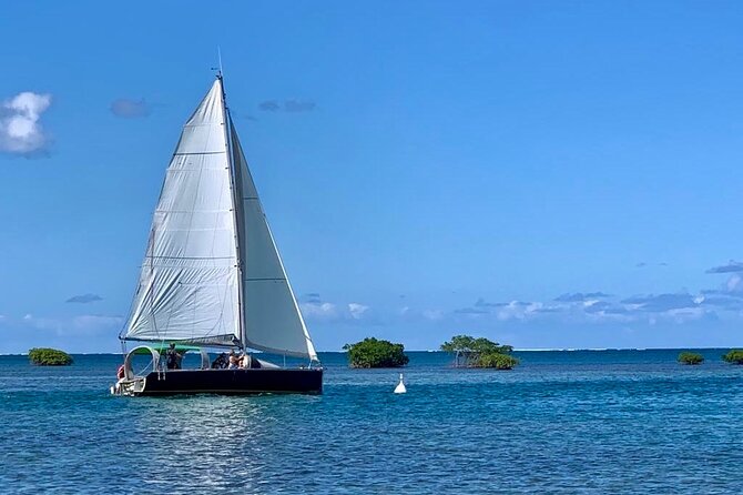 Hiking 100% Sailing 100% Ecological: Lagoon Snorkelling Paddle - Exploring the Basse-Terre Island