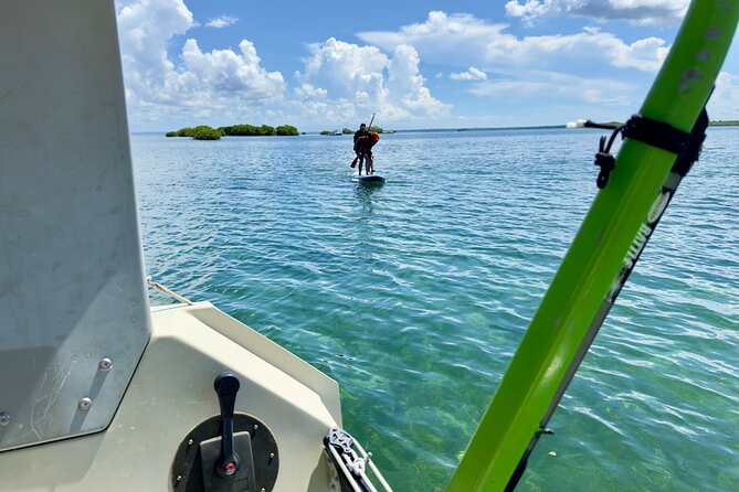 Hiking 100% Sailing 100% Ecological: Lagoon Snorkelling Paddle - Positive Customer Testimonials