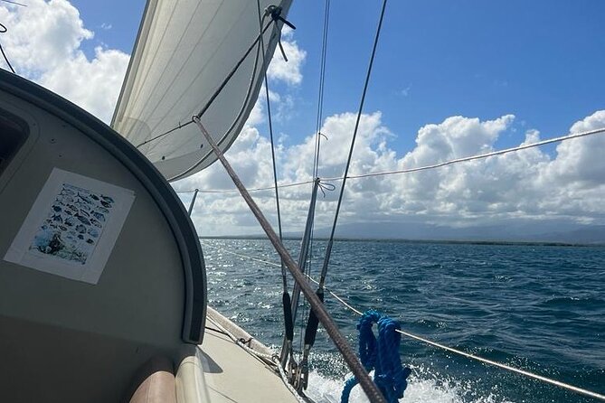 Hiking 100% Sailing 100% Ecological: Lagoon Snorkelling Paddle - Ecological Practices and Respect for Nature