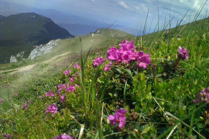 Hiking : 7 Ladders Canyon -Piatra Mare Mountain From Brasov - Key Points