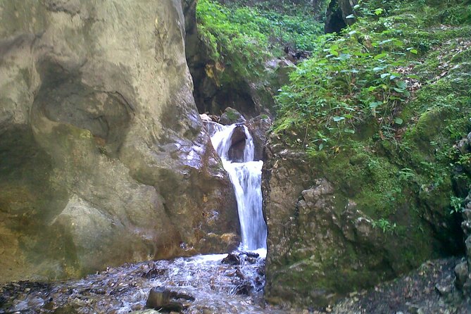 Hiking : 7 Ladders Canyon -Piatra Mare Mountain From Brasov - Transportation and Pickup