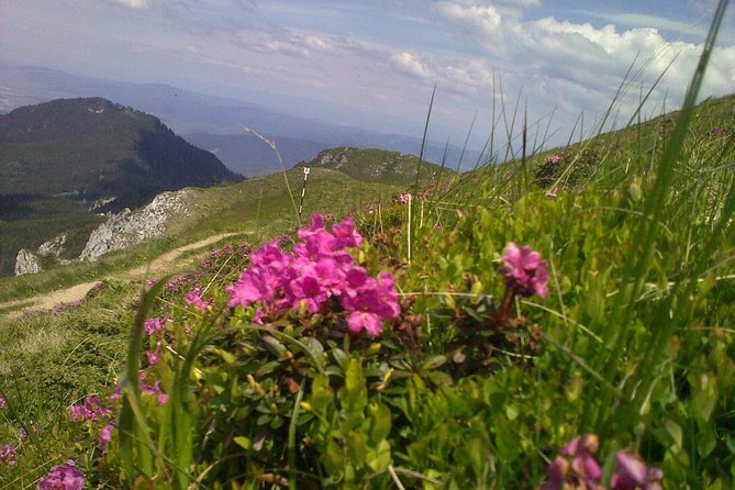 Hiking : 7 Ladders Canyon -Piatra Mare Mountain From Brasov - Suggested Packing List