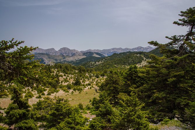 Hiking Above Kalamata - Guided Tour With Explore Messinia