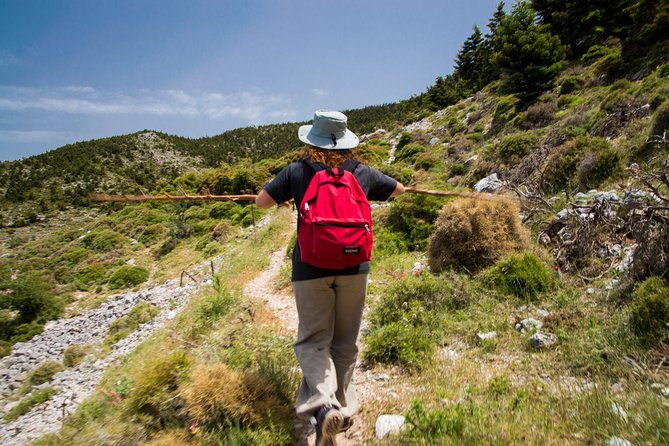 Hiking Above Kalamata - Inclusions and Pricing Details