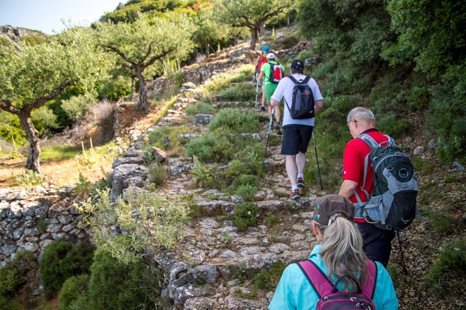 Hiking Above Kalamata - Participation and Accessibility Information
