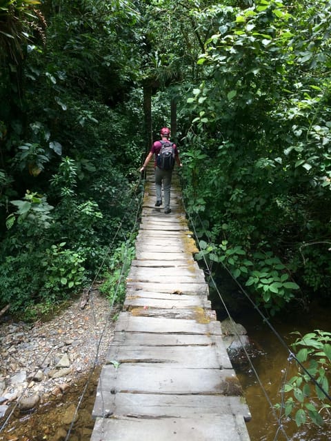 Hiking Acaime – Cocora Valley Private Full Day - Key Points