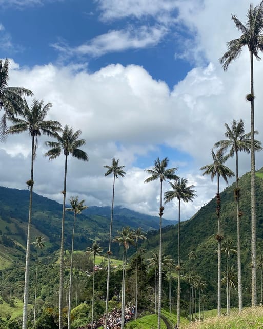 Hiking Acaime – Cocora Valley Private Full Day - Hiking Experience