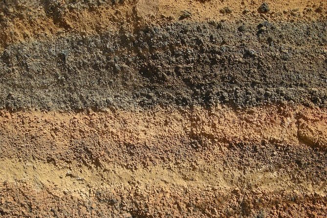 Hiking Activity Through the Volcanic Land of Wonder - Highlights of the Tour