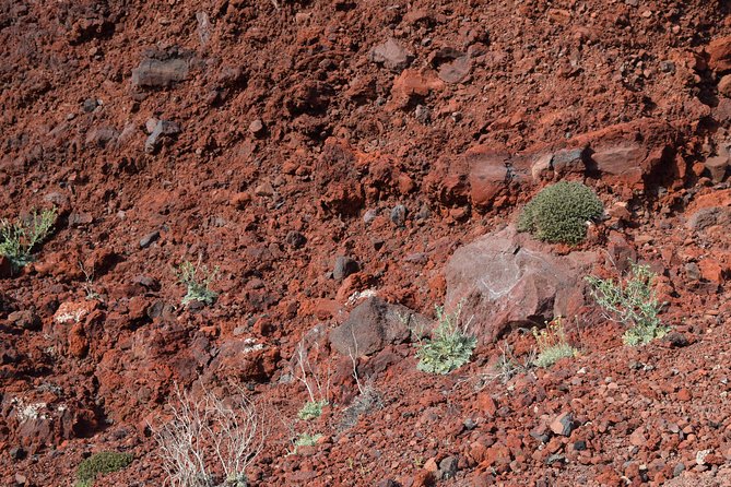 Hiking Activity Through the Volcanic Land of Wonder - Tour Reviews