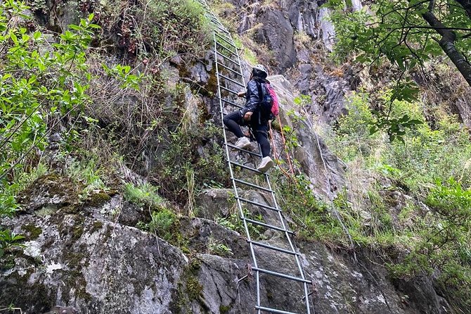 Hiking Adventure in CDMX - Cancellation and Pricing Information