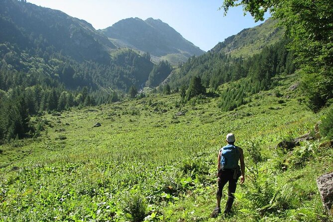 Hiking Adventure in Sharri - Seasonal Hiking Options
