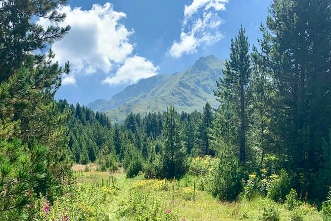 Hiking Adventure in Sharri - Transportation and Meeting Details