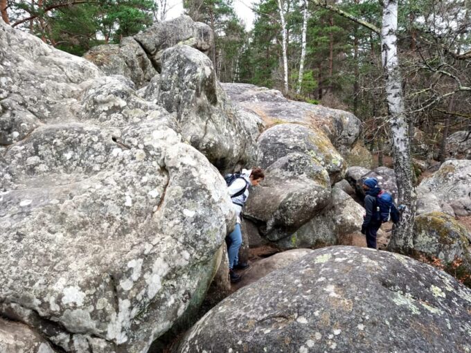 Hiking Adventure in the Fontainebleau Forest - Preparing for the Adventure