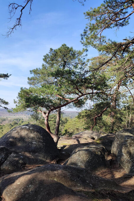 Hiking Adventure in the Fontainebleau Forest - Frequently Asked Questions