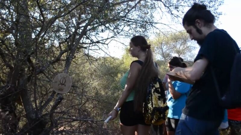 Hiking Adventure in the Magical Forest of La Zaurdilla - Key Points