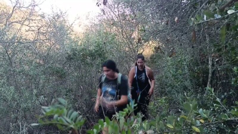 Hiking Adventure in the Magical Forest of La Zaurdilla - Experience and Itinerary