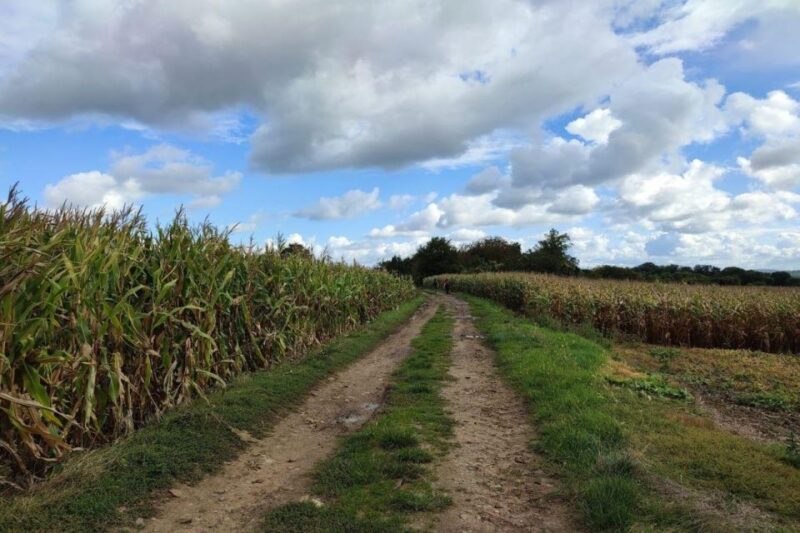 Hiking Adventure in Van Goghs Footsteps (6 Miles Walk) - Itinerary Details