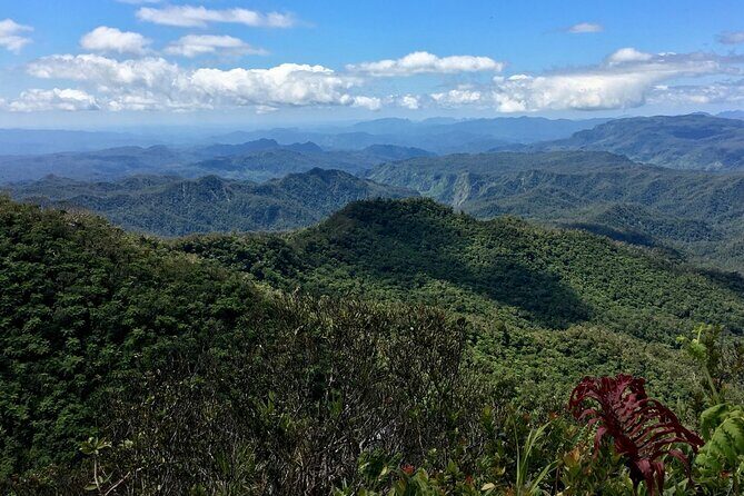 Hiking Adventure including Fiji's Highest Mountain and 3 Nights - Starting Point and Initial Village Stay