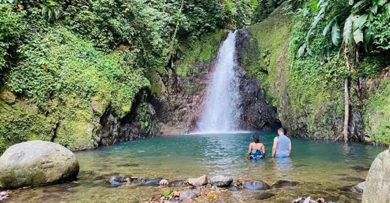 Hiking Adventure - Customer Feedback