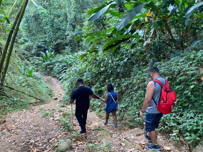 Hiking Adventure - Exploring the Rainforest