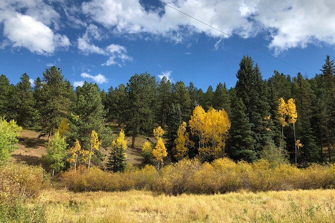 Hiking Adventure Through Colorados Front Range Close to Denver - Positive Reviews and Participant Feedback