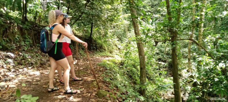 Hiking Adventure Through Grand Etang RainForest - Itinerary and Highlights