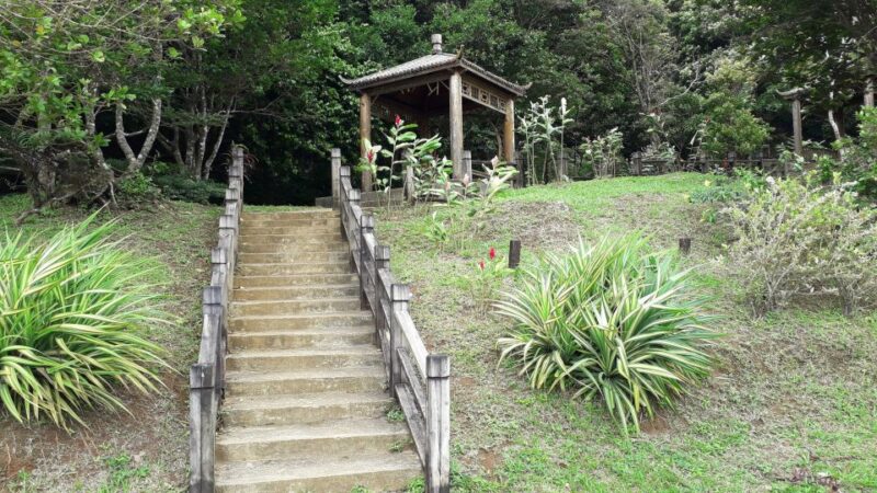 Hiking Adventure Through Grand Etang RainForest - Pickup Locations